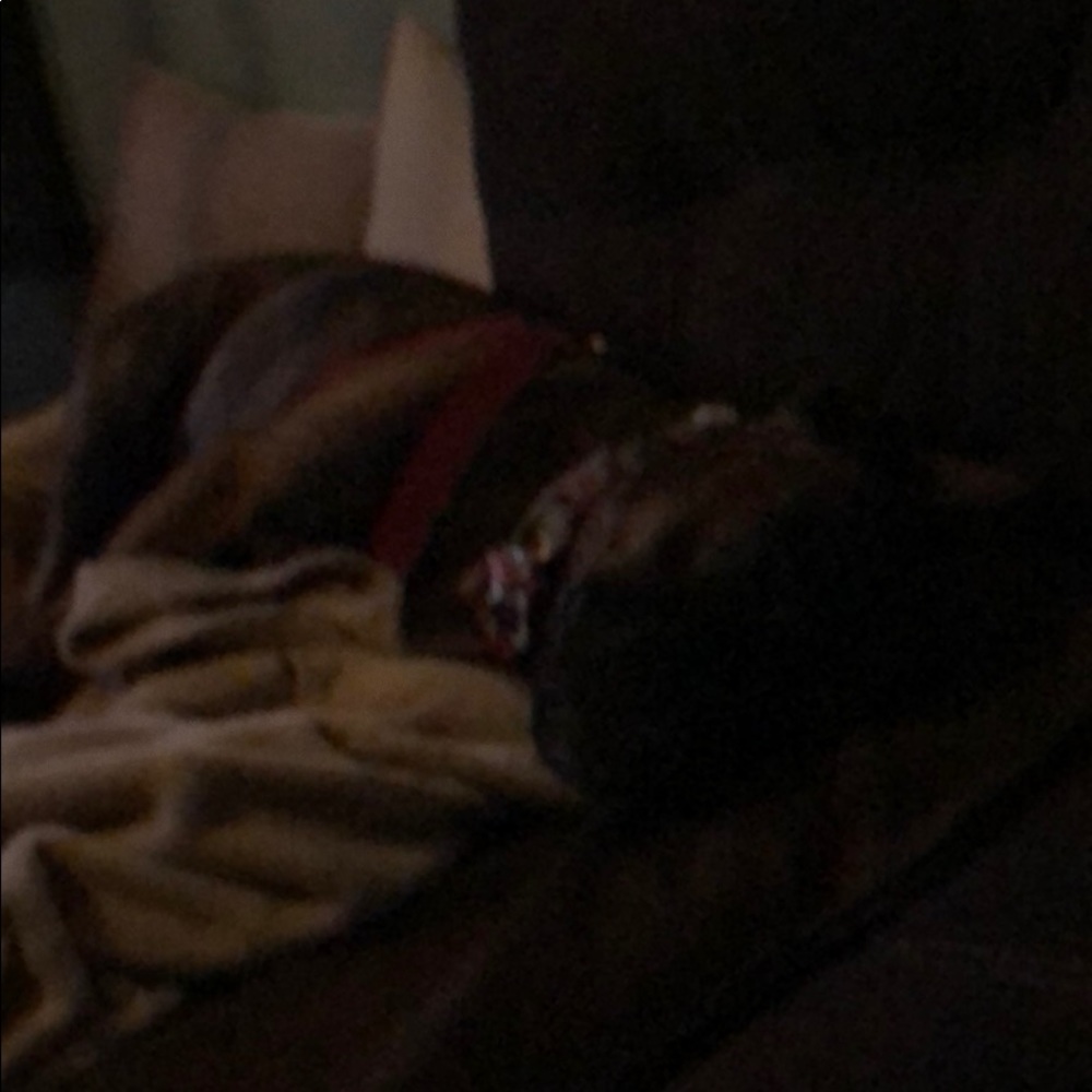 Meet your Posher, Kelli